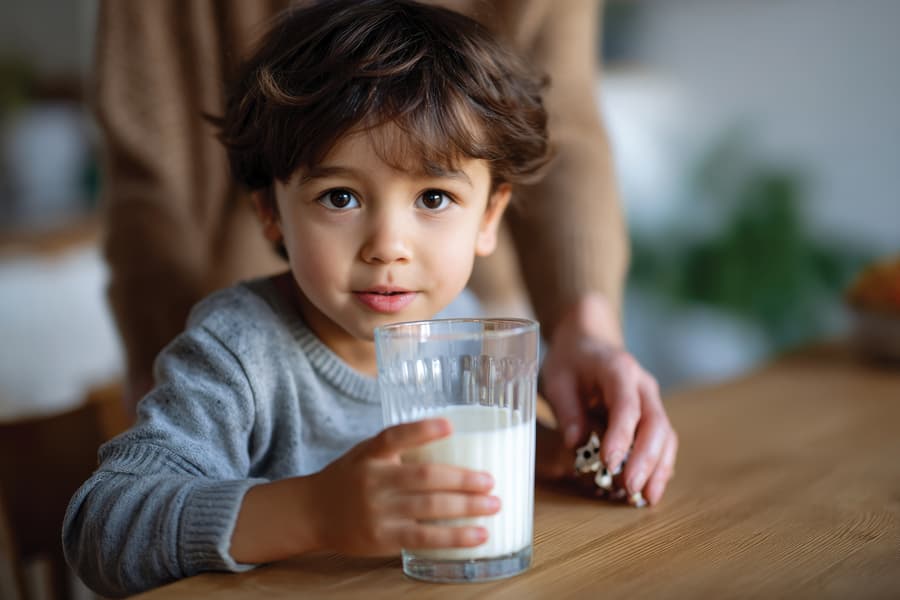 Rutinas del hogar en A Coruña
